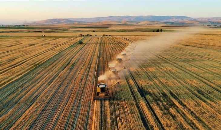 Türkiye'nin tarım ihracatı arttı