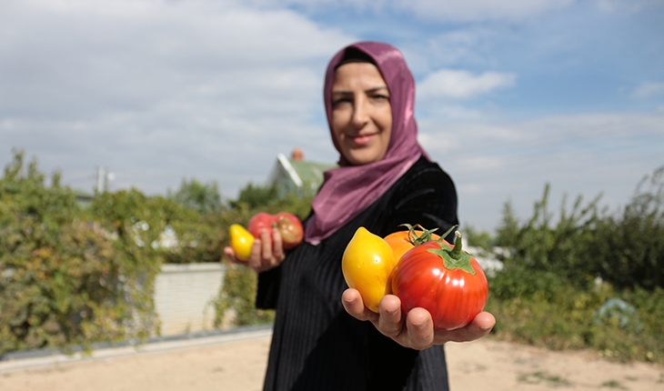 Konya’da “ata tohumu“ yetiştiren 50 yaşındaki kadın girişimci kooperatif kurdu