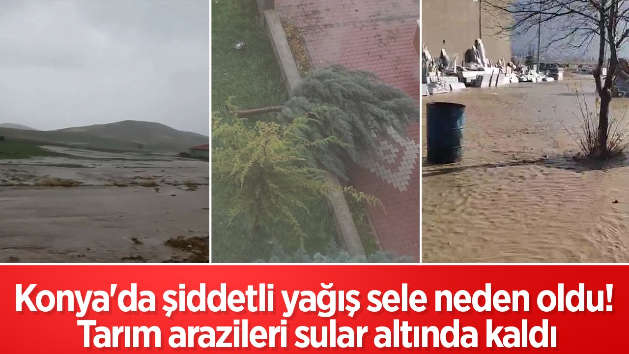 Konya’da şiddetli yağış sele neden oldu! Tarım arazileri sular altında kaldı