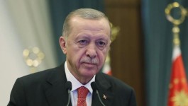 Cumhurbaşkanı Erdoğan: Irkçı örgütlere yönelik endişelerimiz giderek artıyor