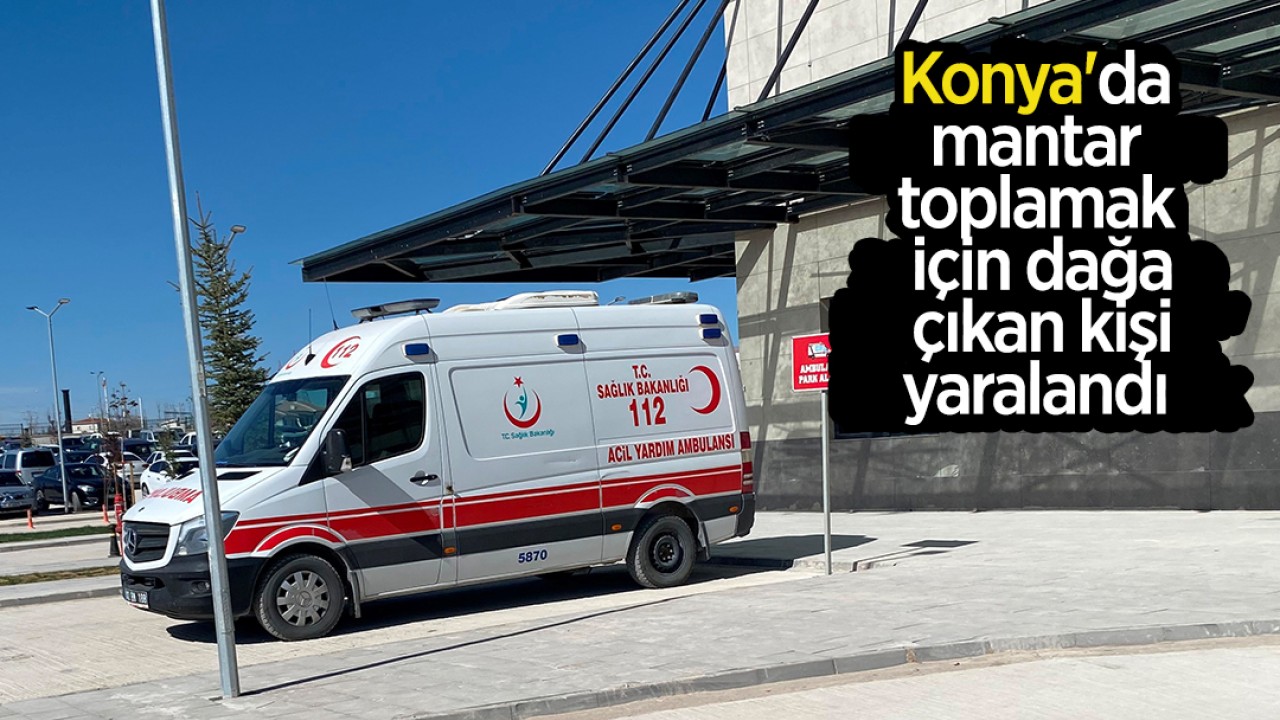 Konya’da mantar toplamak için dağa çıkan kişi yaralandı