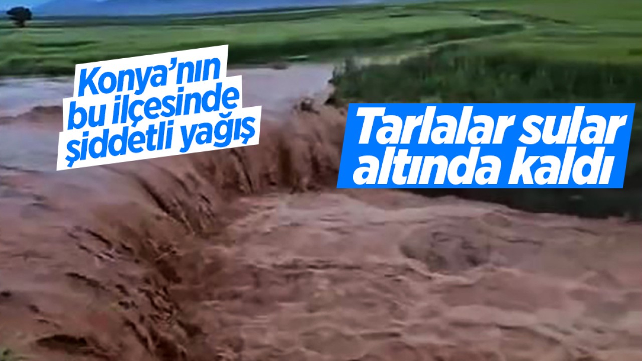 Konya’nın bu ilçesinde şiddetli yağış: Tarlalar sular altında kaldı