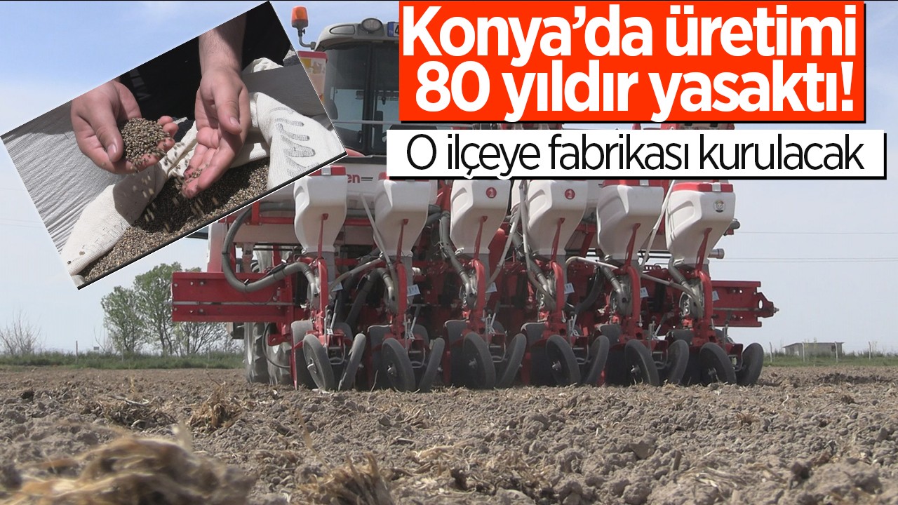 Konya’da üretimi 80 yıldır yasaktı! O ilçeye fabrikası kurulacak