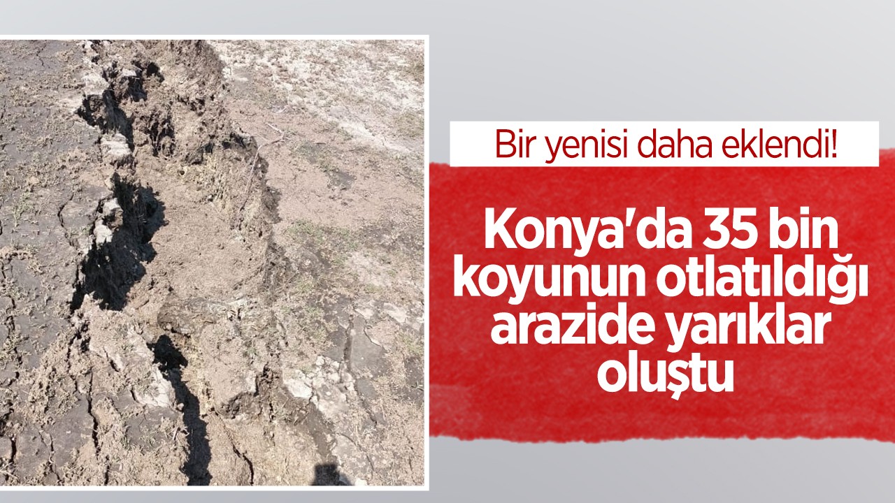 Konya’da 35 bin koyunun otlatıldığı arazide yarıklar oluştu