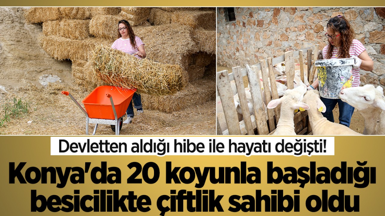 Devletten aldığı hibe ile hayatı değişti! Konya'da 20 koyunla başladığı besicilikte çiftlik sahibi oldu