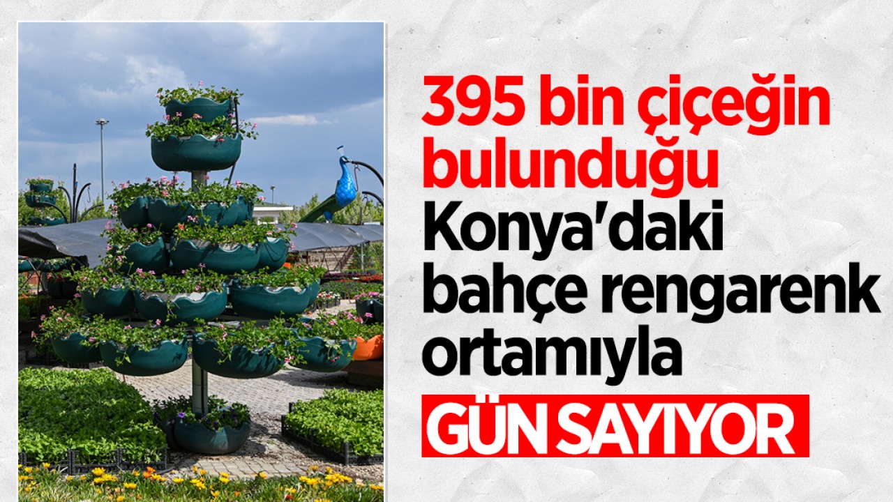 395 bin çiçeğin bulunduğu Konya’daki bahçe rengarenk ortamıyla gün sayıyor